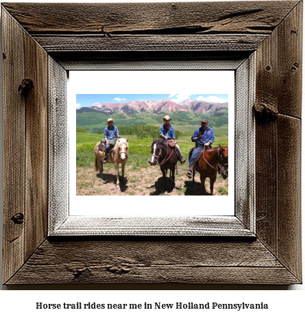 horse trail rides near me in New Holland, Pennsylvania